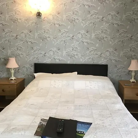 The New Motel