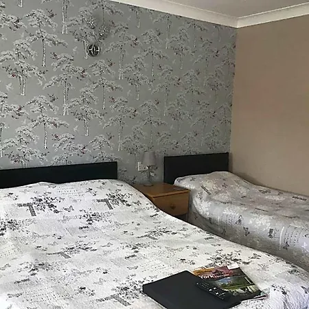 The New Motel 2*