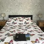 The New 2* York