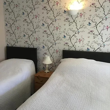 Motel The New